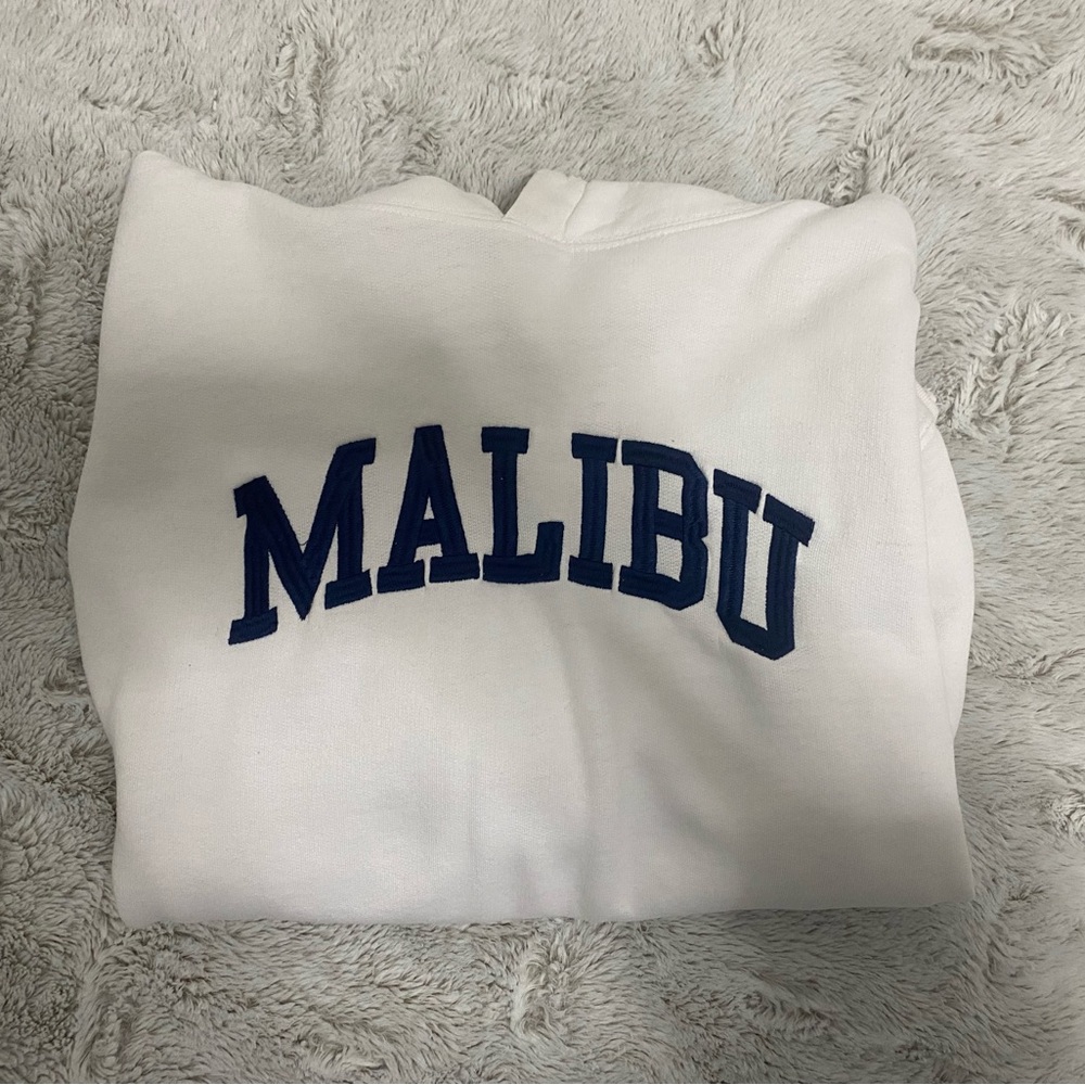 Brandy Melville hoodie